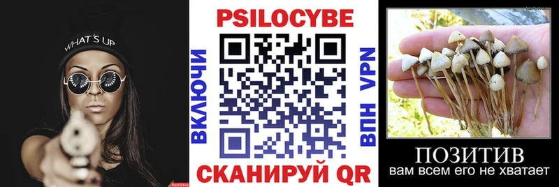 где найти наркотики  Заречный  Псилоцибиновые грибы MAGIC MUSHROOMS 